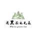 老黑茶文先森