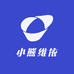 小熊维依