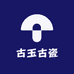 奇玉堂珠宝