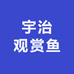 宇治观赏鱼