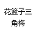 花篮子三角梅