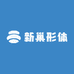 新巢形体