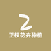 正权花卉种植
