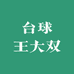 台球王大双教学器材