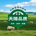 天赐品质伊兰德清真牛羊肉