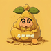 屎粑粑柑