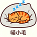 喵小毛的小店