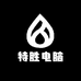 特胜电脑