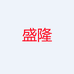 盛隆企业店