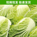 小马农家菜生鲜店