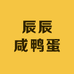 辰辰咸鸭蛋
