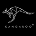 KANGAROO眼镜