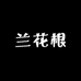 兰花根