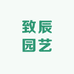 致辰三角梅新品种基地