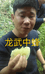 向阳龙武中蜂养殖