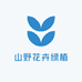 山野花卉绿植店