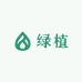 绿植盆栽花卉基地