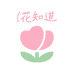 云南昆明花知晓鲜花店