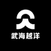 武海越洋
