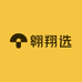 翱翔选