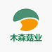 华豫木森干货