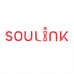 SOULINK宣伊天津海惠文化传媒有限公司美妆专卖店