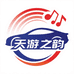 天游之韵车载音像店