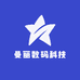 曼丽数码科技