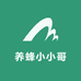 养蜂小小哥的小店