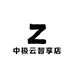中极云智享店