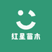 云宜三角梅
