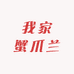 我家蟹爪兰