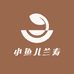 果冻兰寿