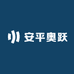 安平奥跃丝网