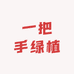 一把手绿植