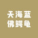 天海蓝佛鳄龟