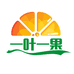 陕西一叶一果企业店