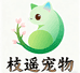 枝遥宠物旗舰店