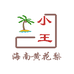 海岛小王海南黄花梨