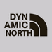 DYNAMIC NORTH动感北面