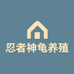 忍者神龟养殖户