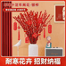瑞源绿植花卉