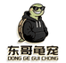 东哥龟宠