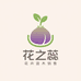 花之蕊种球专营店