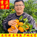 双有双橙农业优选