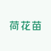 荷花苗
