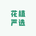 花植严选