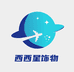 西西星饰物