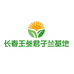 长春王三君子兰养殖基地