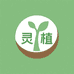 灵植果树苗木专营店